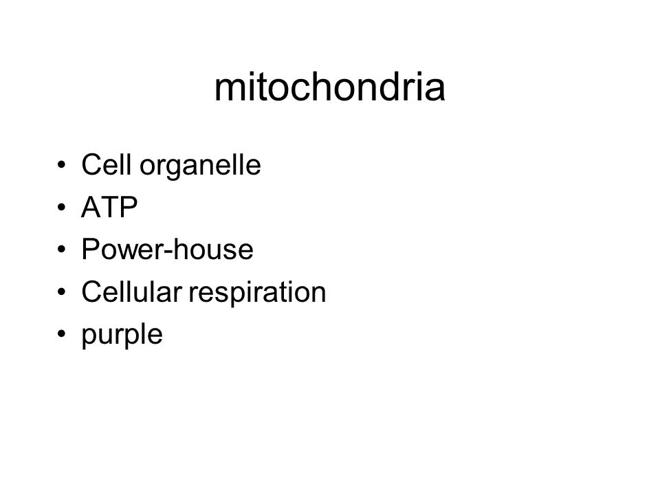 mitochondria Cell organelle ATP Power-house Cellular respiration purple