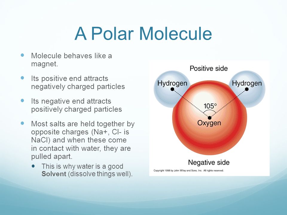 Physical and Chemical Properties of Water. The Water Molecule Water is a  compound Compound: substance that contains two or more different elements.  H. - ppt download