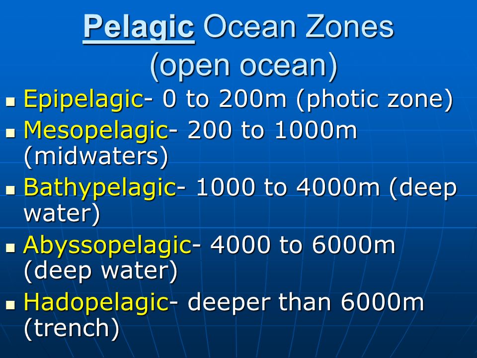 Epipelagic & Deep Ocean. Pelagic Ocean Zones (open ocean