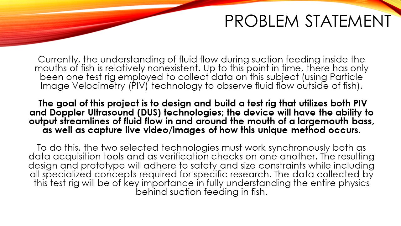 PROBLEM STATEMENT Currently, the understanding of fluid flow during suction feeding inside the mouths of fish is relatively nonexistent.