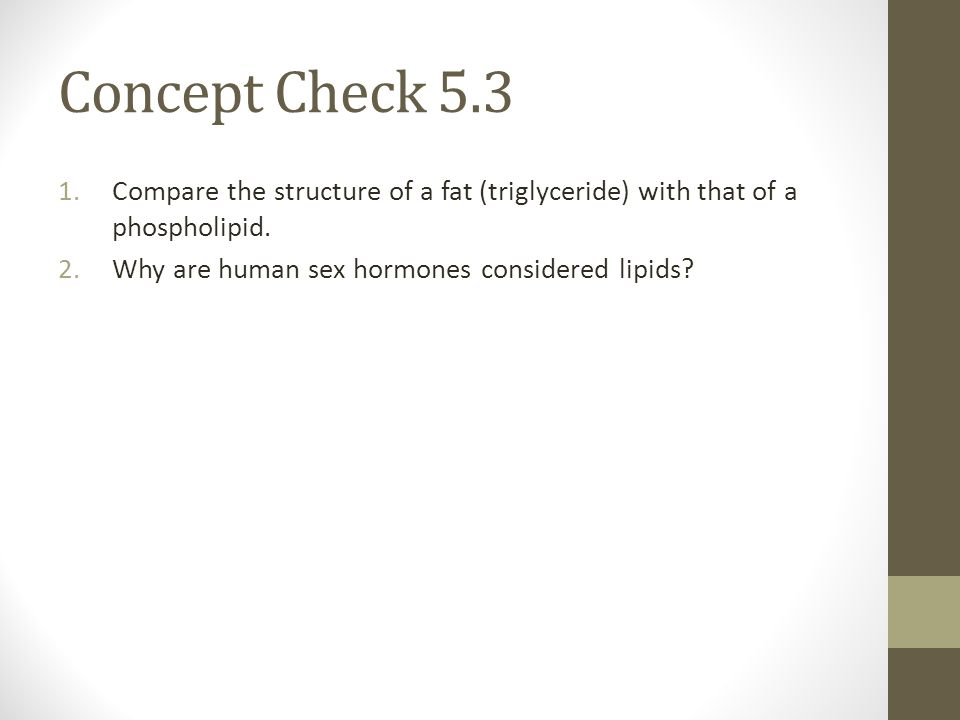 The why are human sex hormones considered to be lipids remarkable, very Apologise, why are human sex hormones considered to be lipids consider, that