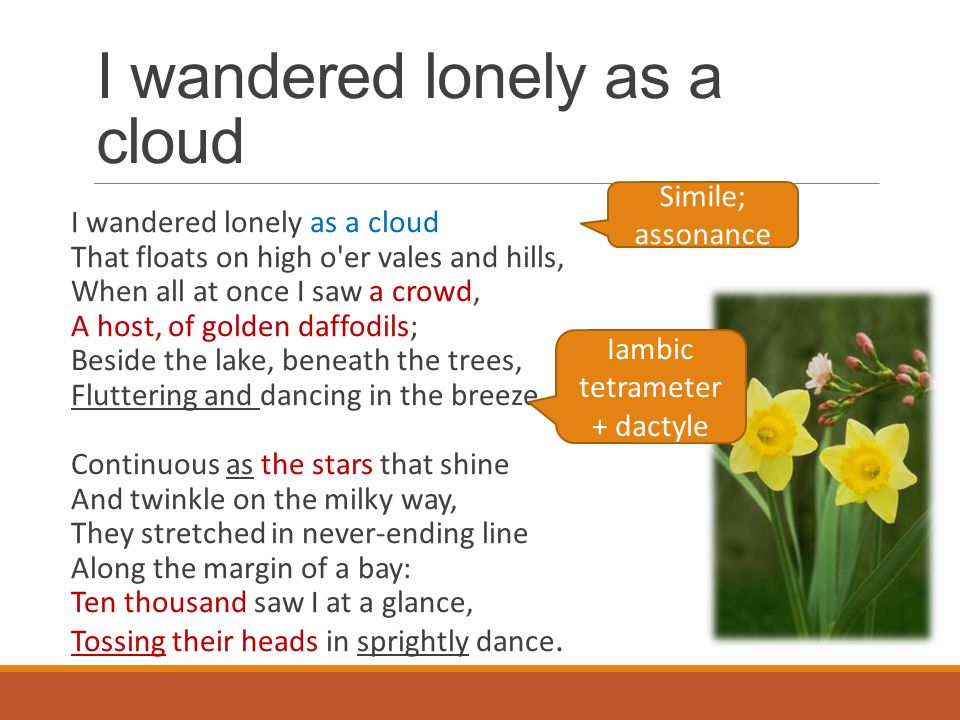 imagery in i wandered lonely as a cloud