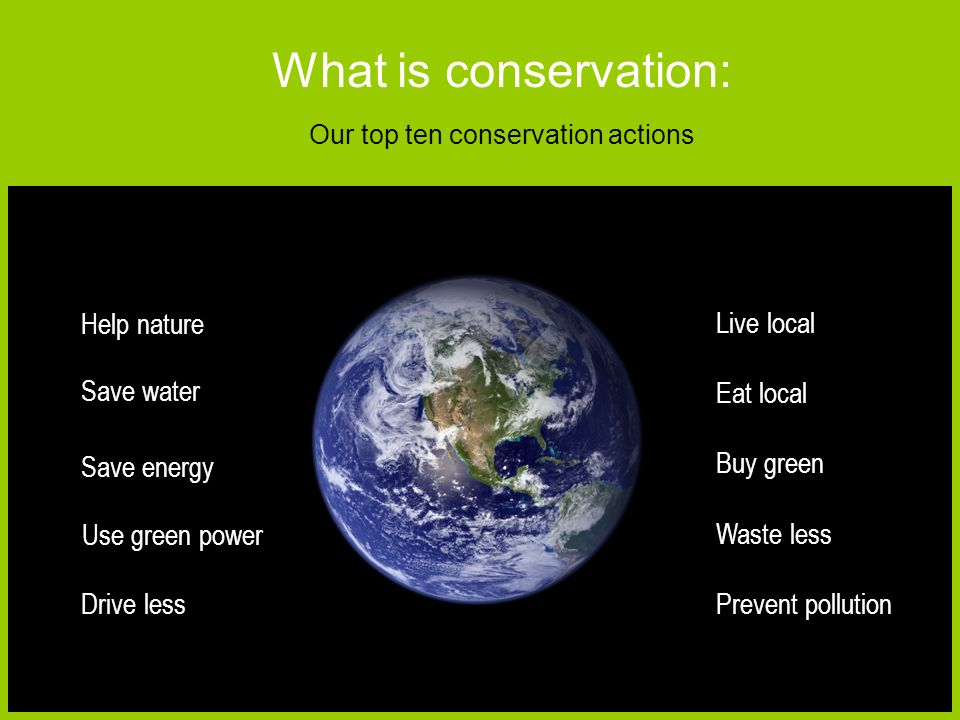 bluse beruset Uden for Conservation is… the art of living lightly on this Earth What is  conservation: A definition. - ppt download