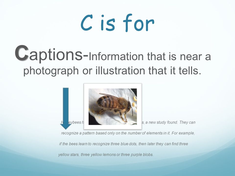 C is for C C aptions- Information that is near a photograph or illustration that it tells.