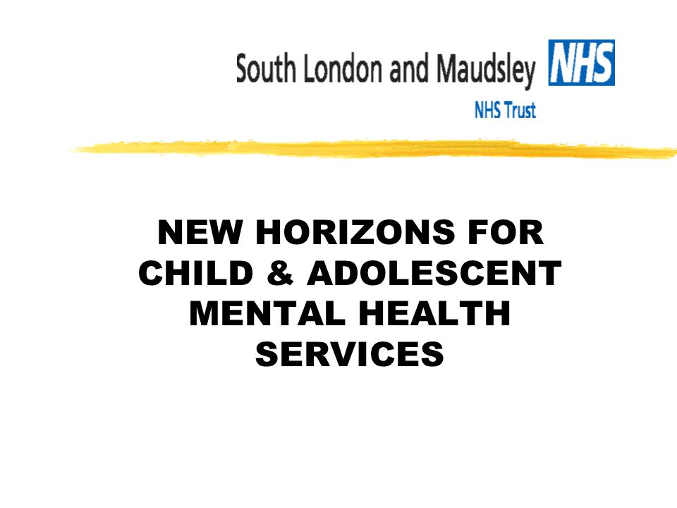 NEW HORIZONS FOR CHILD & ADOLESCENT MENTAL HEALTH SERVICES   Ppt Download