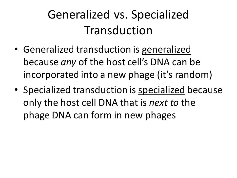 Plate 29 Bacterial Transduction. Genetic Changes 3 ways to alter the DNA  within bacteria: – Bacterial transformation Indirect: cell  extracellular  fluid. - ppt download