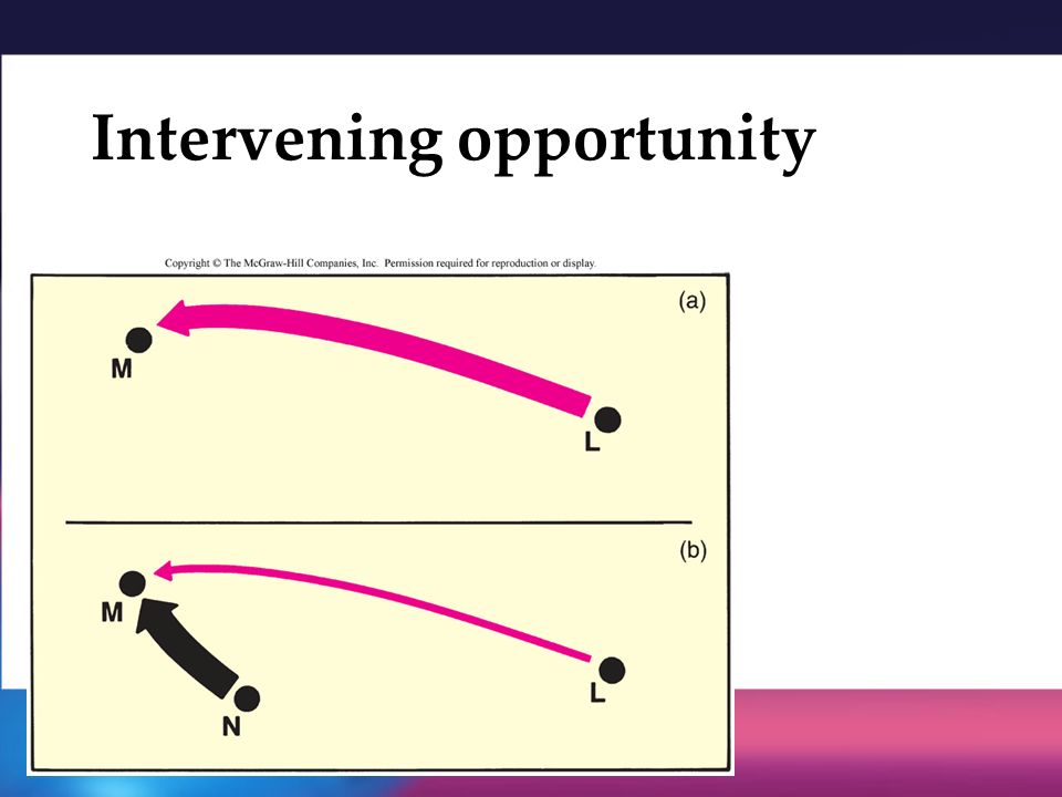 Chapter 3 Spatial Interaction Spatial Behavior ppt download