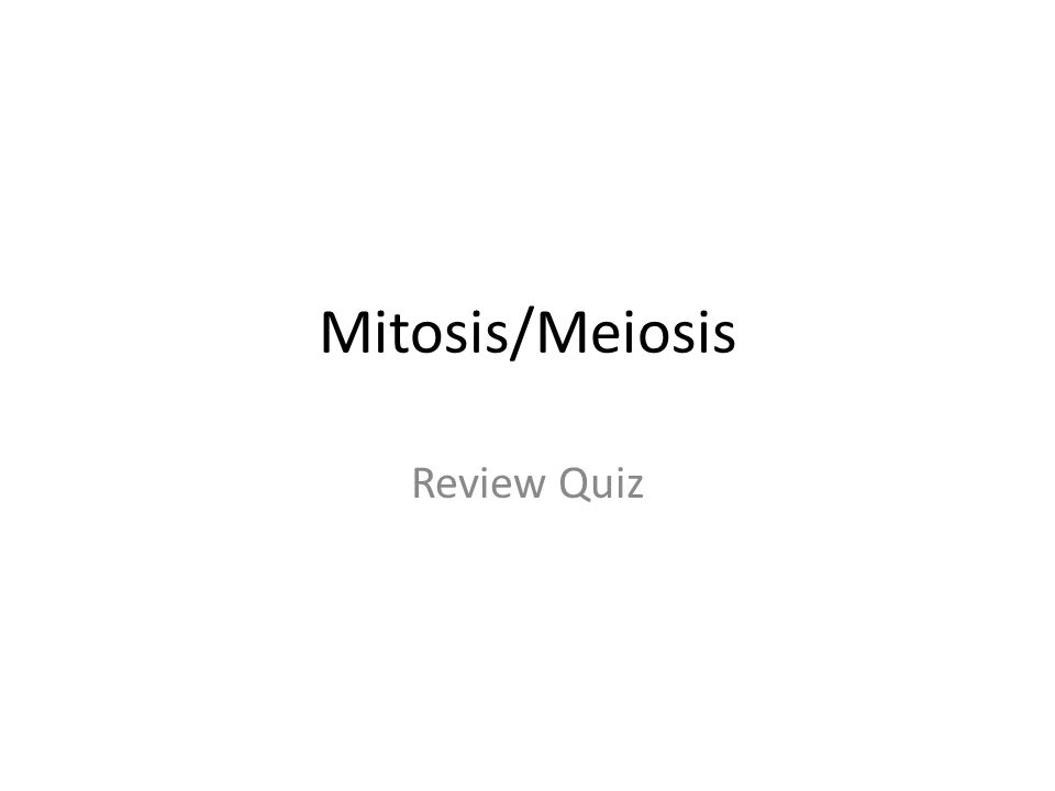 Mitosis/Meiosis Review Quiz