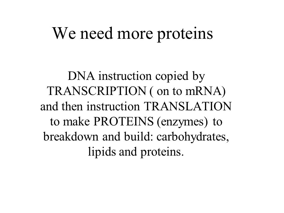 We need more proteins DNA instruction copied by TRANSCRIPTION ( on to mRNA) and then instruction TRANSLATION to make PROTEINS (enzymes) to breakdown and build: carbohydrates, lipids and proteins.