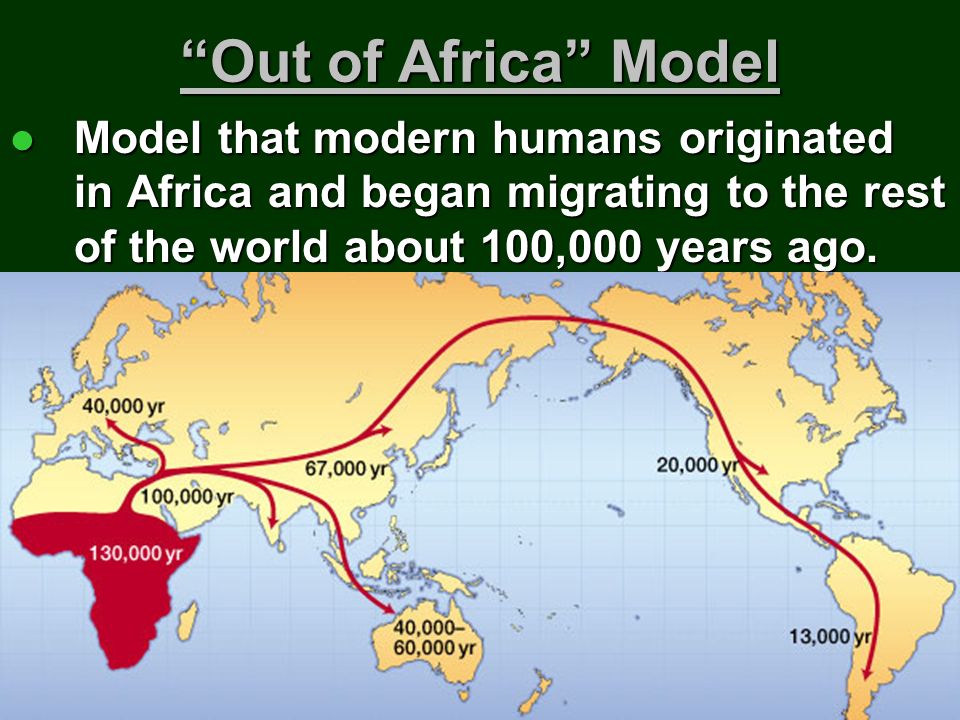 Out Of Africa Model Model That Modern Humans Originated In Africa And Began Migrating To The Rest Of The World About 100 000 Years Ago Model That Modern Ppt Download