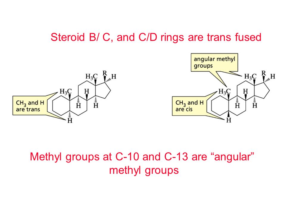 Methyl groups at C-10 and C-13 are angular methyl groups Steroid B/ C, and C/D rings are trans fused