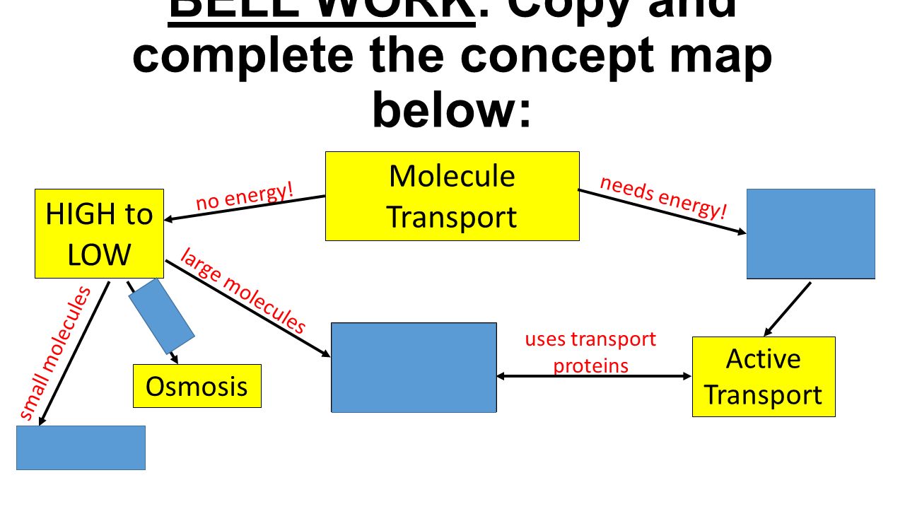 Bell Work Copy And Complete The Concept Map Below Molecule