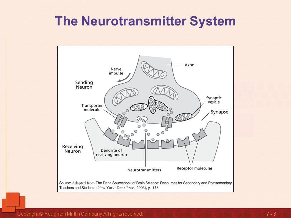 Chapter Seven Attention Deficit Hyperactivity Disorder and Related ...