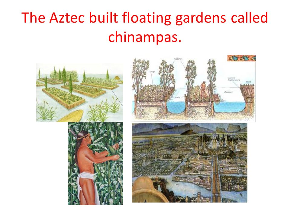 The Aztec Located In Present Day Mexico City And The Surrounding