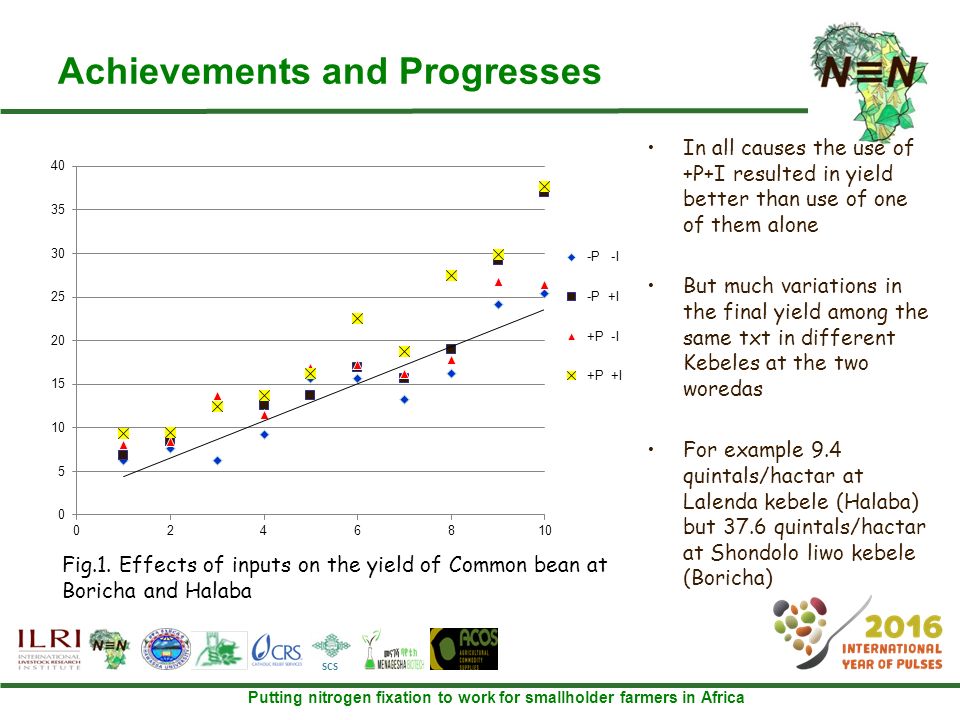 Putting nitrogen fixation to work for smallholder farmers in Africa SCS Achievements and Progresses In all causes the use of +P+I resulted in yield better than use of one of them alone But much variations in the final yield among the same txt in different Kebeles at the two woredas For example 9.4 quintals/hactar at Lalenda kebele (Halaba) but 37.6 quintals/hactar at Shondolo liwo kebele (Boricha) Fig.1.