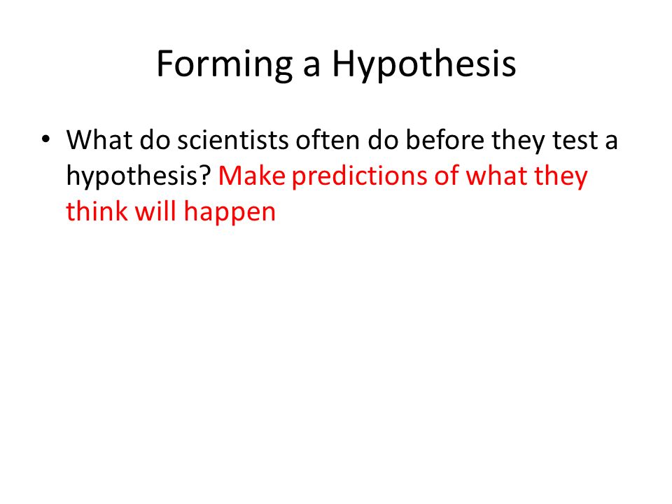 Forming a Hypothesis What do scientists often do before they test a hypothesis.