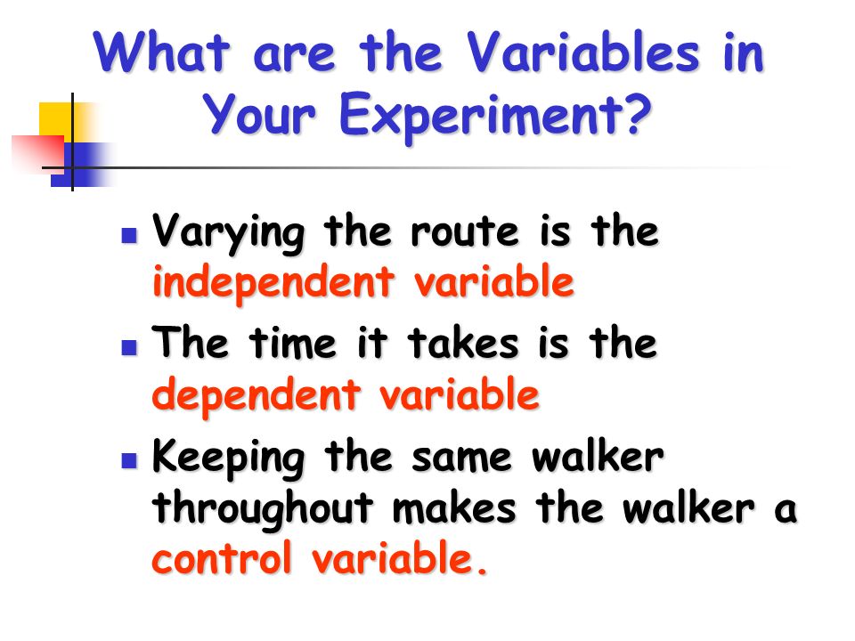 What are the Variables in Your Experiment.
