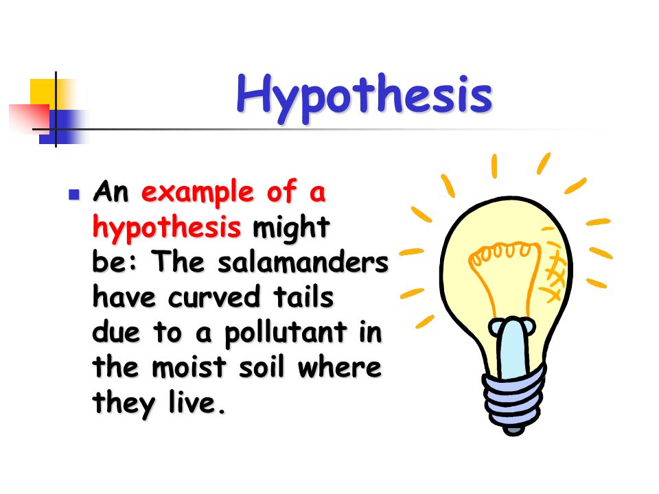 Hypothesis An example of a hypothesis might be: The salamanders have curved tails due to a pollutant in the moist soil where they live.