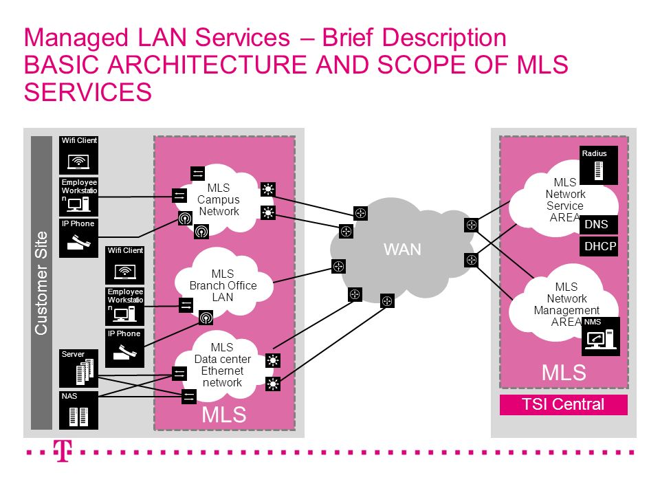 MANAGED LAN SERVICES How will you benefit? Managed LAN service  Full LAN  service (hardware, operation, other services)  Per-port pricing   International. - ppt download