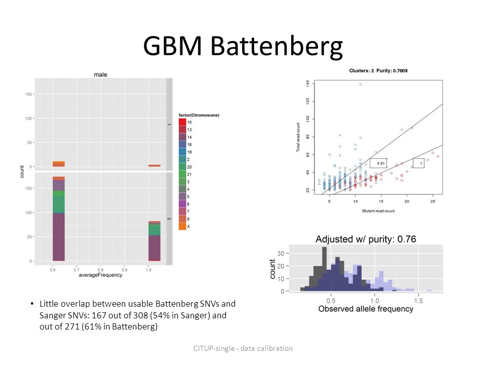 GBM Battenberg Little overlap between usable Battenberg SNVs and Sanger SNVs: 167 out of 308 (54% in Sanger) and out of 271 (61% in Battenberg) CITUP-single - data calibration