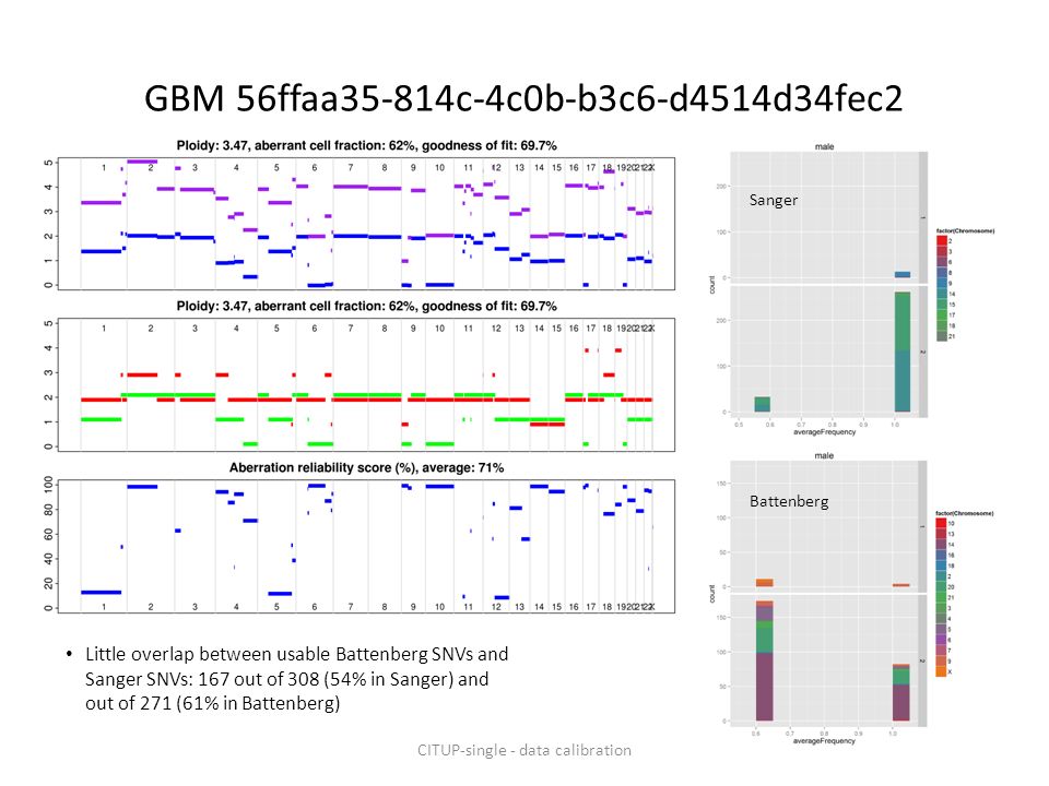 GBM 56ffaa35-814c-4c0b-b3c6-d4514d34fec2 Battenberg Sanger Little overlap between usable Battenberg SNVs and Sanger SNVs: 167 out of 308 (54% in Sanger) and out of 271 (61% in Battenberg) CITUP-single - data calibration
