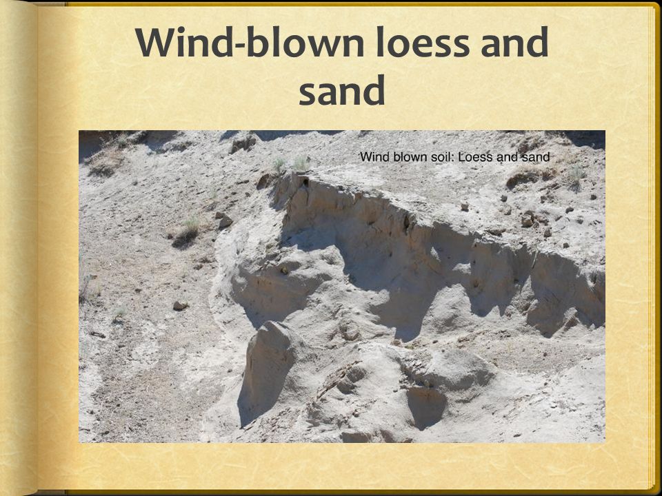 Wind-blown loess and sand