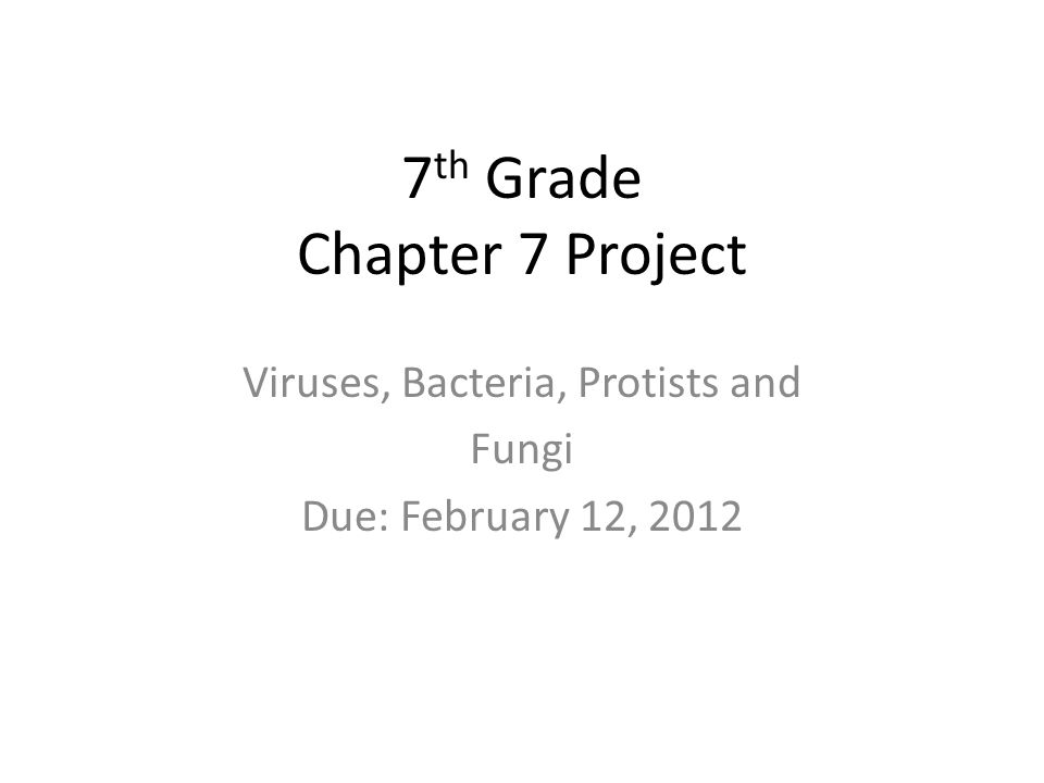 7 Th Grade Chapter 7 Project Viruses Bacteria Protists And