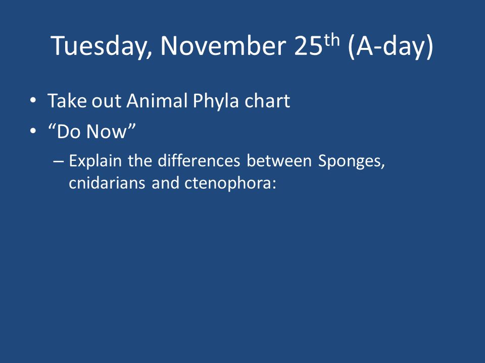 Animal Phyla Lab Chart