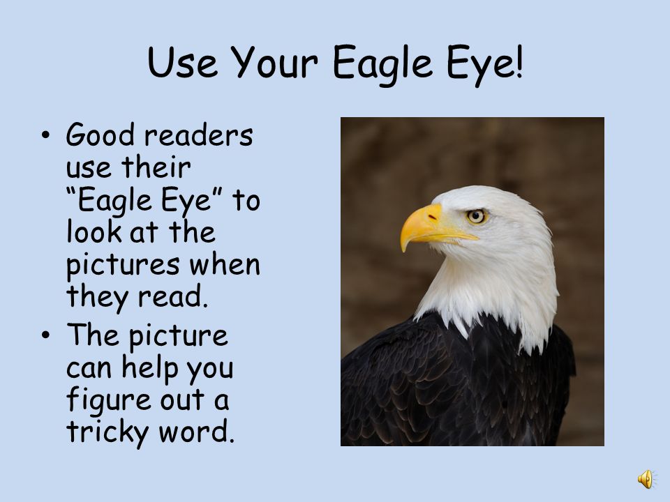 Image result for eagle eye reading strategy