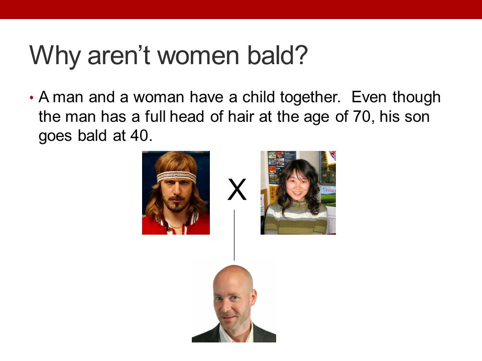 SEX LINKED TRAITS. Why aren't women bald? A man and a woman have a child  together. Even though the man has a full head of hair at the age of 70, his
