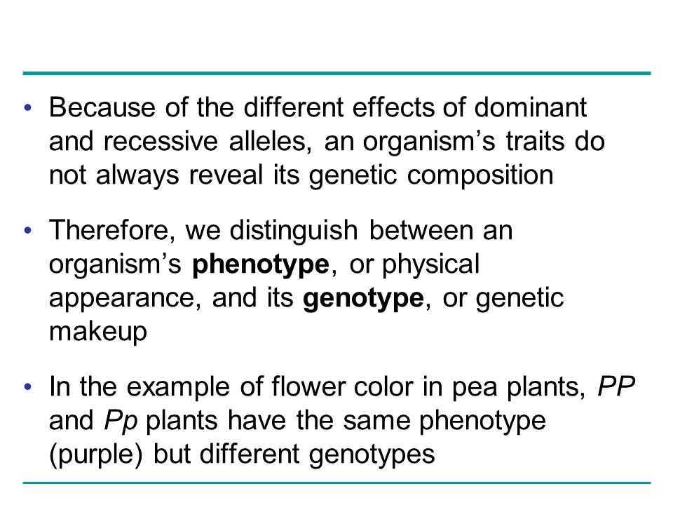 Because of the different effects of dominant and recessive alleles, an organism’s traits do not always reveal its genetic composition Therefore, we distinguish between an organism’s phenotype, or physical appearance, and its genotype, or genetic makeup In the example of flower color in pea plants, PP and Pp plants have the same phenotype (purple) but different genotypes