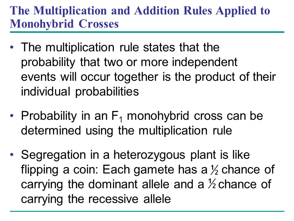 The multiplication rule states that the probability that two or more independent events will occur together is the product of their individual probabilities Probability in an F 1 monohybrid cross can be determined using the multiplication rule Segregation in a heterozygous plant is like flipping a coin: Each gamete has a chance of carrying the dominant allele and a chance of carrying the recessive allele The Multiplication and Addition Rules Applied to Monohybrid Crosses