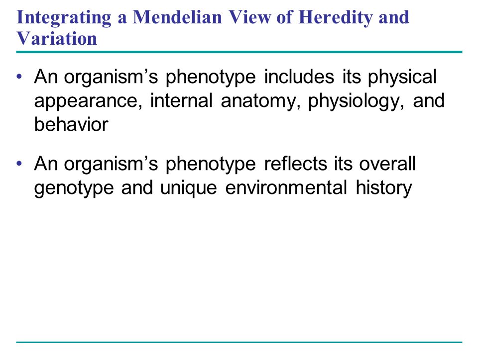 Integrating a Mendelian View of Heredity and Variation An organism’s phenotype includes its physical appearance, internal anatomy, physiology, and behavior An organism’s phenotype reflects its overall genotype and unique environmental history