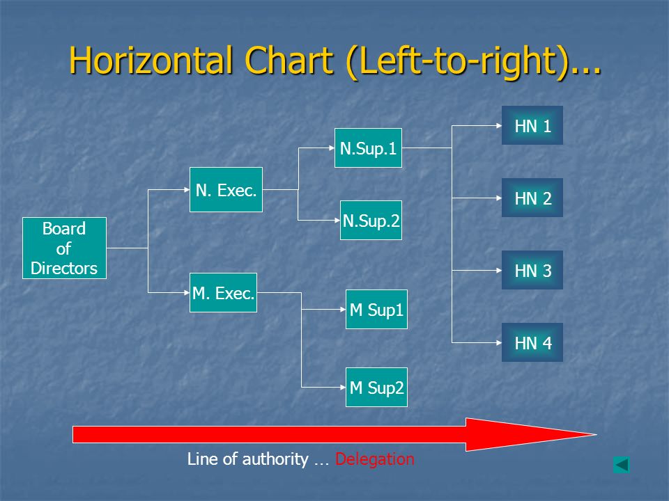 N 1 Organization Chart