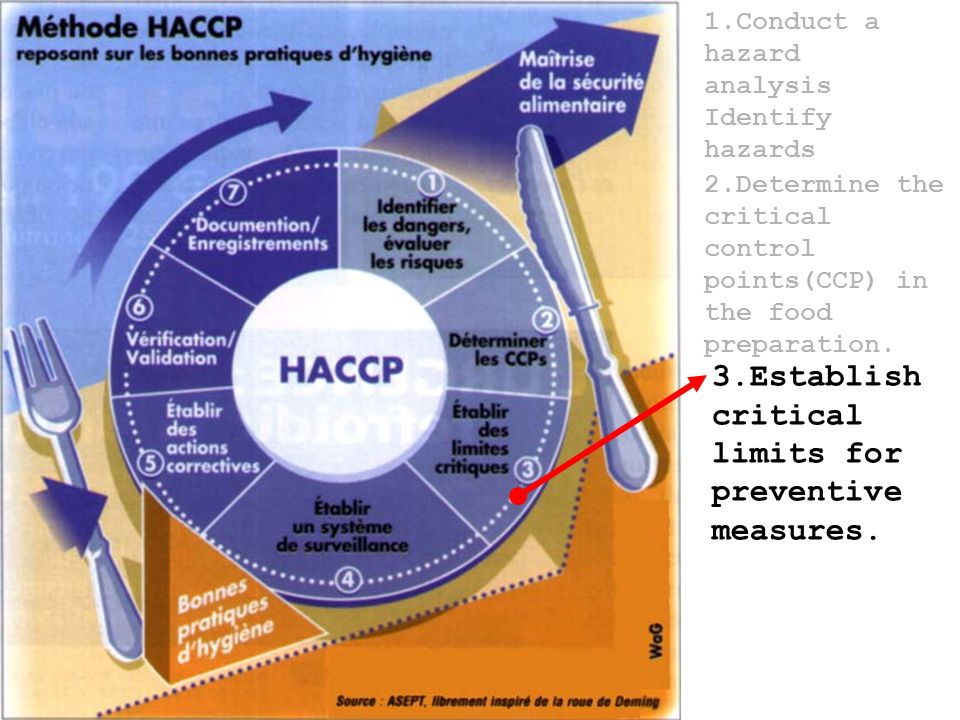 Насср это. НАССР на пищевых предприятиях. HACCP стандарт. ХАССП В общественном питании. Разработка системы ХАССП.