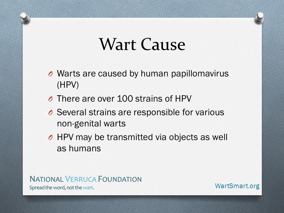 Hpv non warts. hhh | Cervical Cancer | Oral Sex