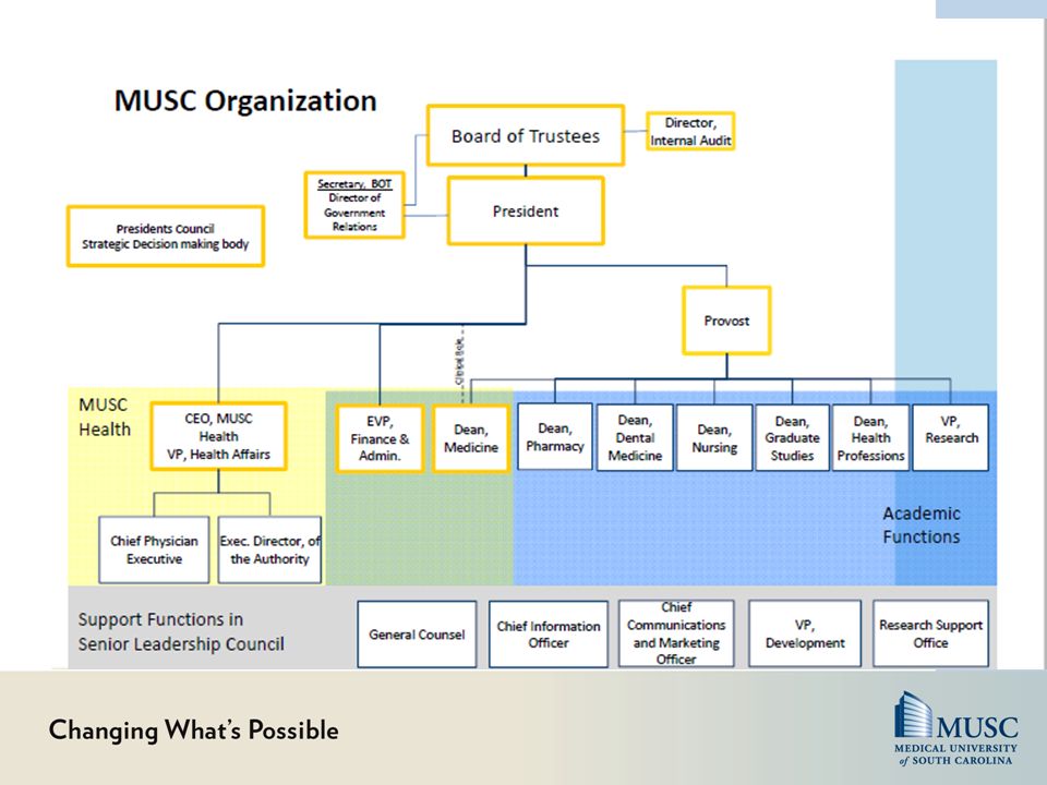 Musc Organizational Chart
