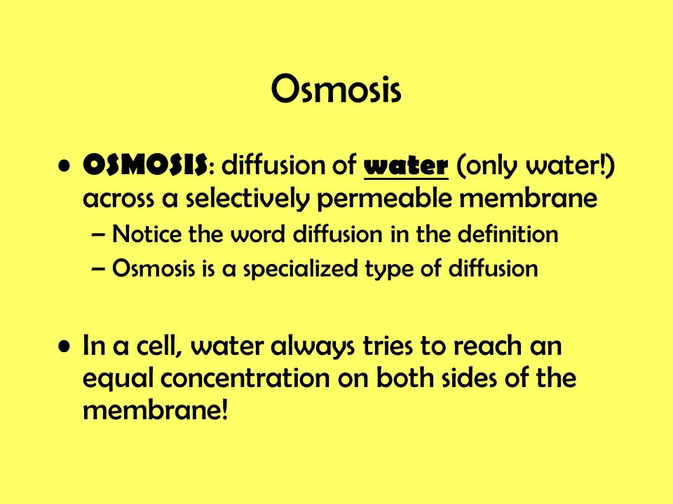 cellular transport osmosis and diffusion ch 8 see how it flows venn diagram comparing diffusion and osmosis