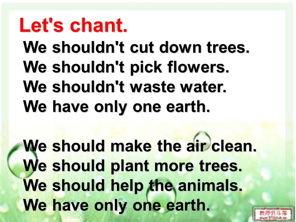 Unit 3 Care For The Earth Cut Down Trees Ppt We Shouldn T Cut Down Trees Pick Flowers