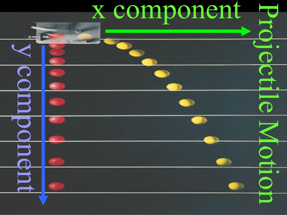 Projectile Motion y component x component