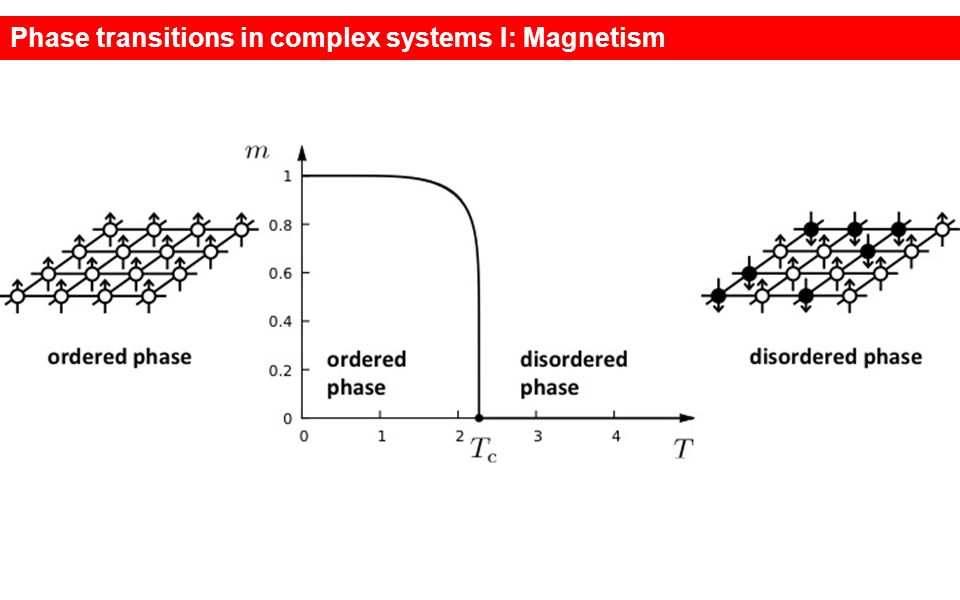 Phase transitions in complex systems I: Magnetism