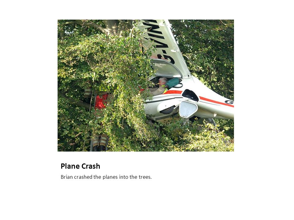 hatchet plane crash
