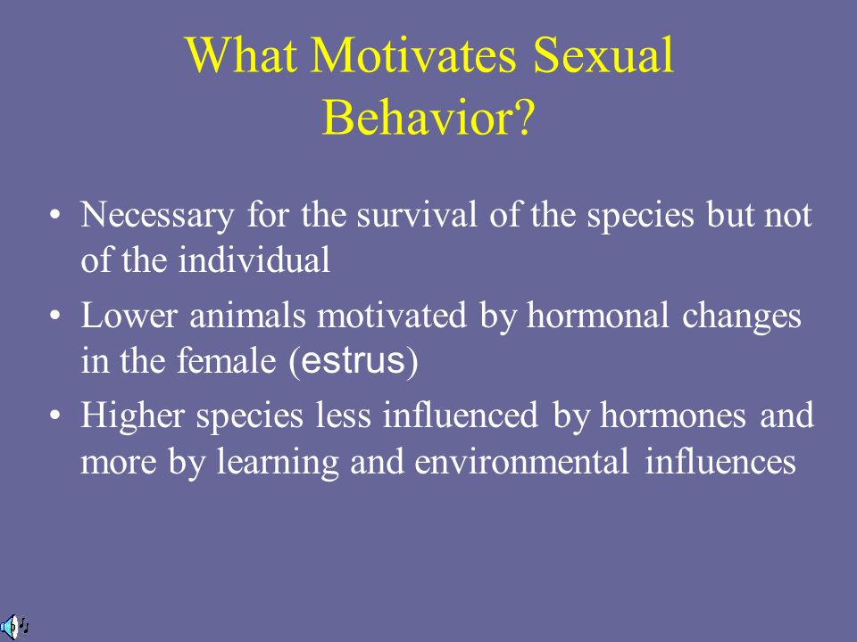 human sexual motivation Human sexual motivation