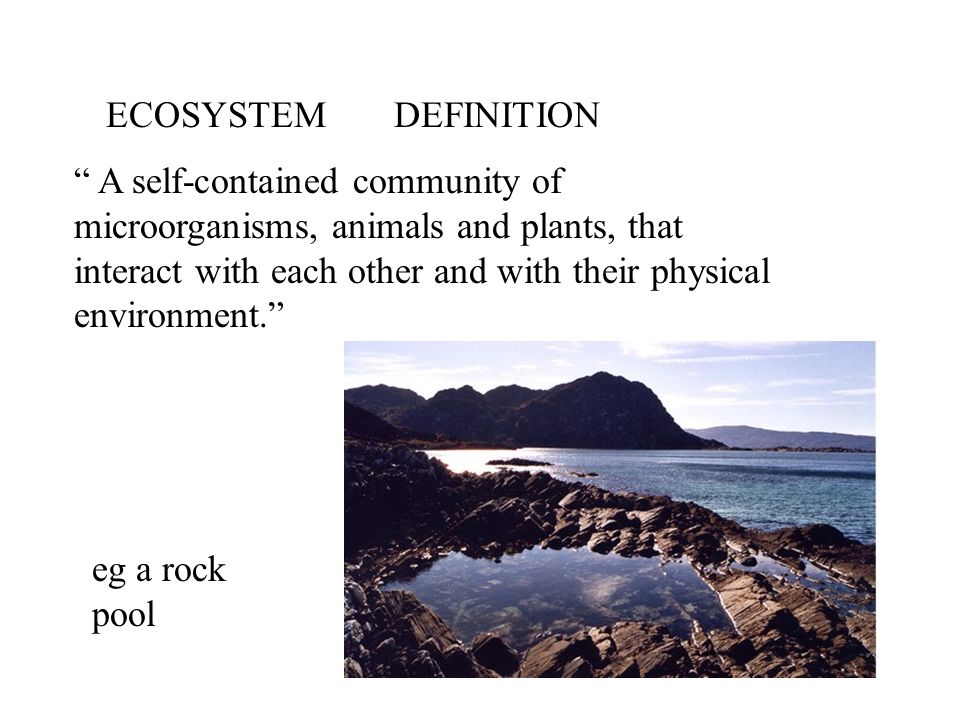 ECOSYSTEM DEFINITION A self-contained community of microorganisms, animals and plants, that interact with each other and with their physical environment. eg a rock pool