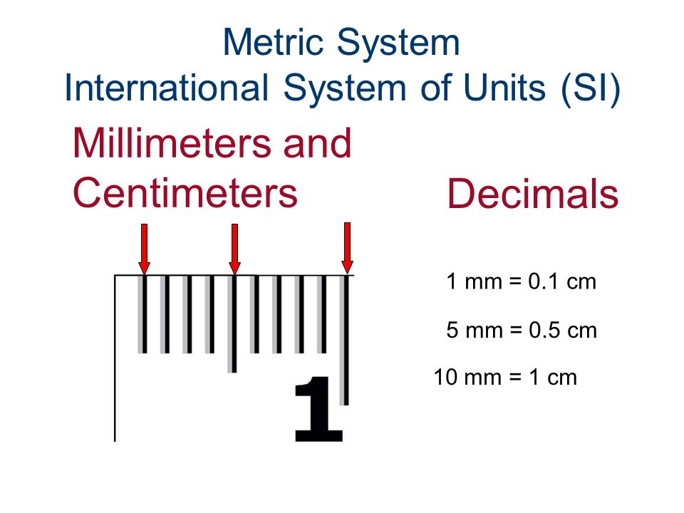 Introduction To Measurement Developing Customary And Metric Measuring Skills Ppt Download