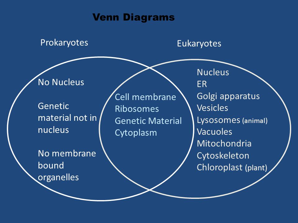 Cells 2 3 Introduction To Biomolecules The Levels Of Organization Organ Systems Organism Ppt Download