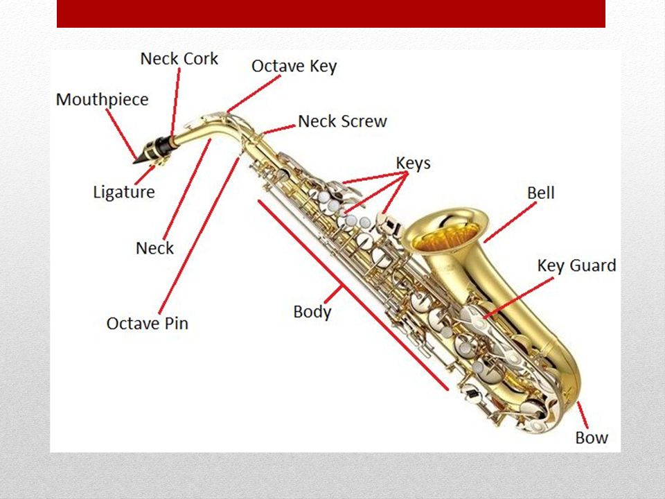 Saxophone jahaziel. Размеры Альт саксофона. Строение саксофона. Игра на Альт саксофоне. Саксофон Alto.