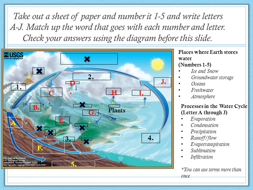 Water Review Part 1 Ted Talk Freshwater Water Cycle I Will Use The Following Slides To Help Me Study For The Diagram Portion Of My Test Ppt Download