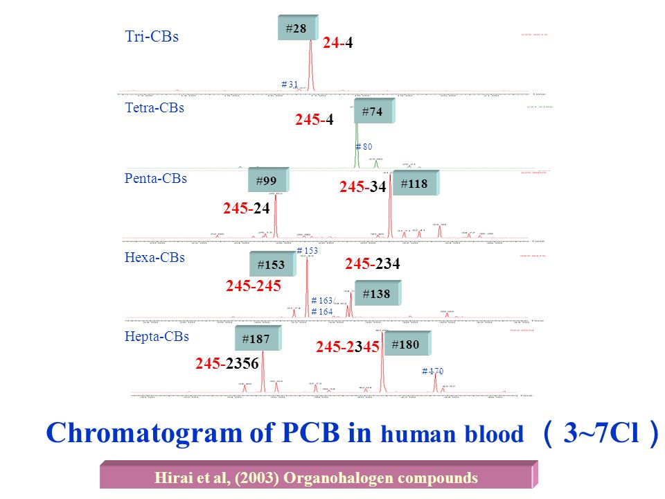 ＃ 28 ＃ 31 ＃ 74 ＃ 80 ＃ 99 ＃ 118 ＃ 153 ＃ 138 ＃ 163/ ＃ 164 ＃ 187 ＃ 180 ＃ 170 Tri-CBs Tetra-CBs Penta-CBs Hexa-CBs Hepta-CBs Chromatogram of PCB in human blood （ 3~7Cl ） Hirai et al, (2003) Organohalogen compounds #187 #180 #153 #138 #74 #99 #118 #