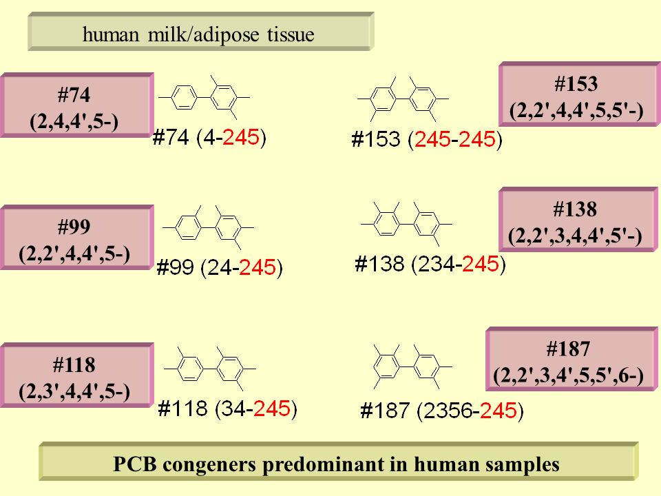 human milk/adipose tissue #74 (2,4,4 ,5-) #99 (2,2 ,4,4 ,5-) #118 (2,3 ,4,4 ,5-) #153 (2,2 ,4,4 ,5,5 -) #138 (2,2 ,3,4,4 ,5 -) #187 (2,2 ,3,4 ,5,5 ,6-) PCB congeners predominant in human samples